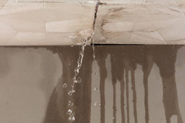 Professional Sewage Cleanup technician working in Hamilton, IN